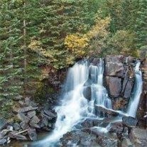 Winfield Curtis Hawkins - Photo 2