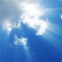 Michael Amos Whalen - Photo 2