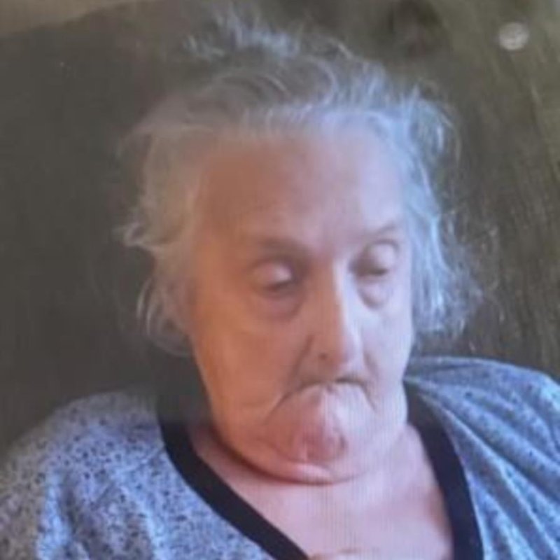 Linda Ann Davis - Photo 3