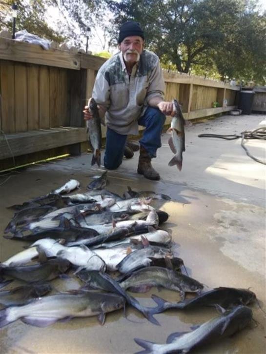 Bruce Adam Johnson - Photo 2