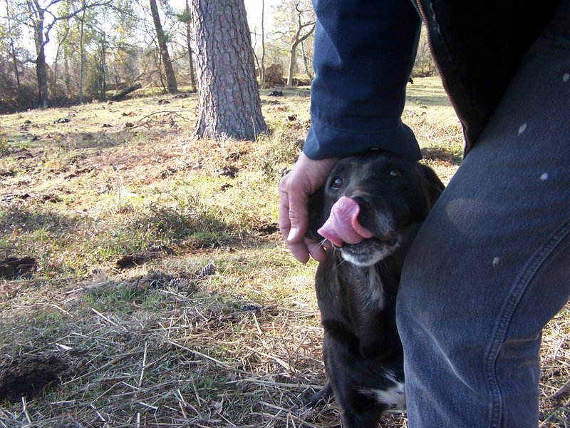 Dannah Iola Taft - Photo 4