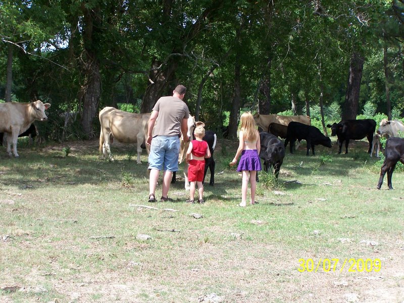 Dannah Iola Taft - Photo 6