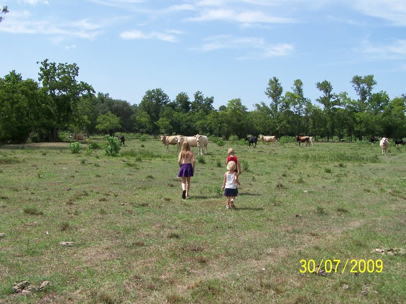 Dannah Iola Taft - Photo 5