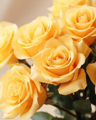 Ernesta Torres-Jones