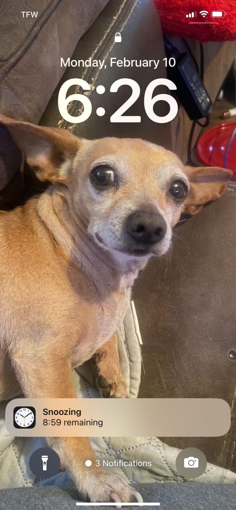 Abigel Williams - Photo 11