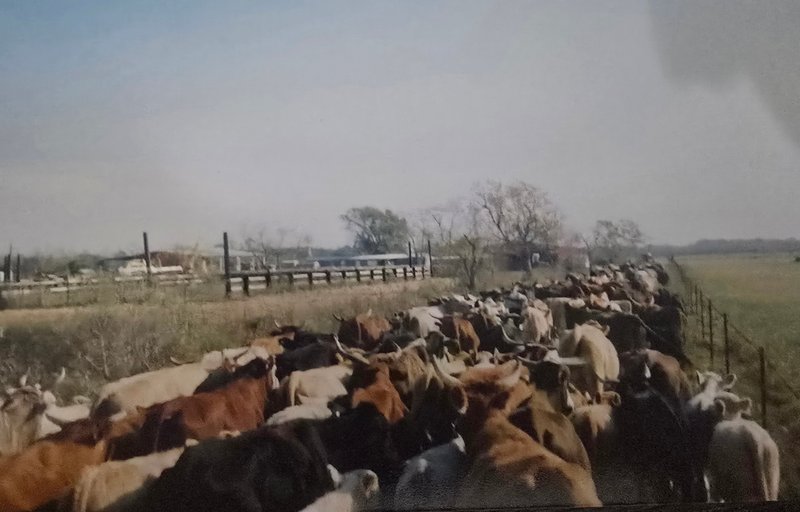 Joe Milton Furlow - Photo 8