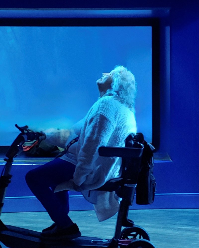 Elizabeth Ann Poland