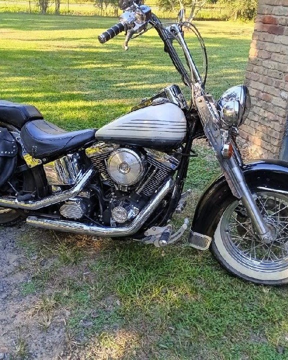 Michael Carrel Kindle