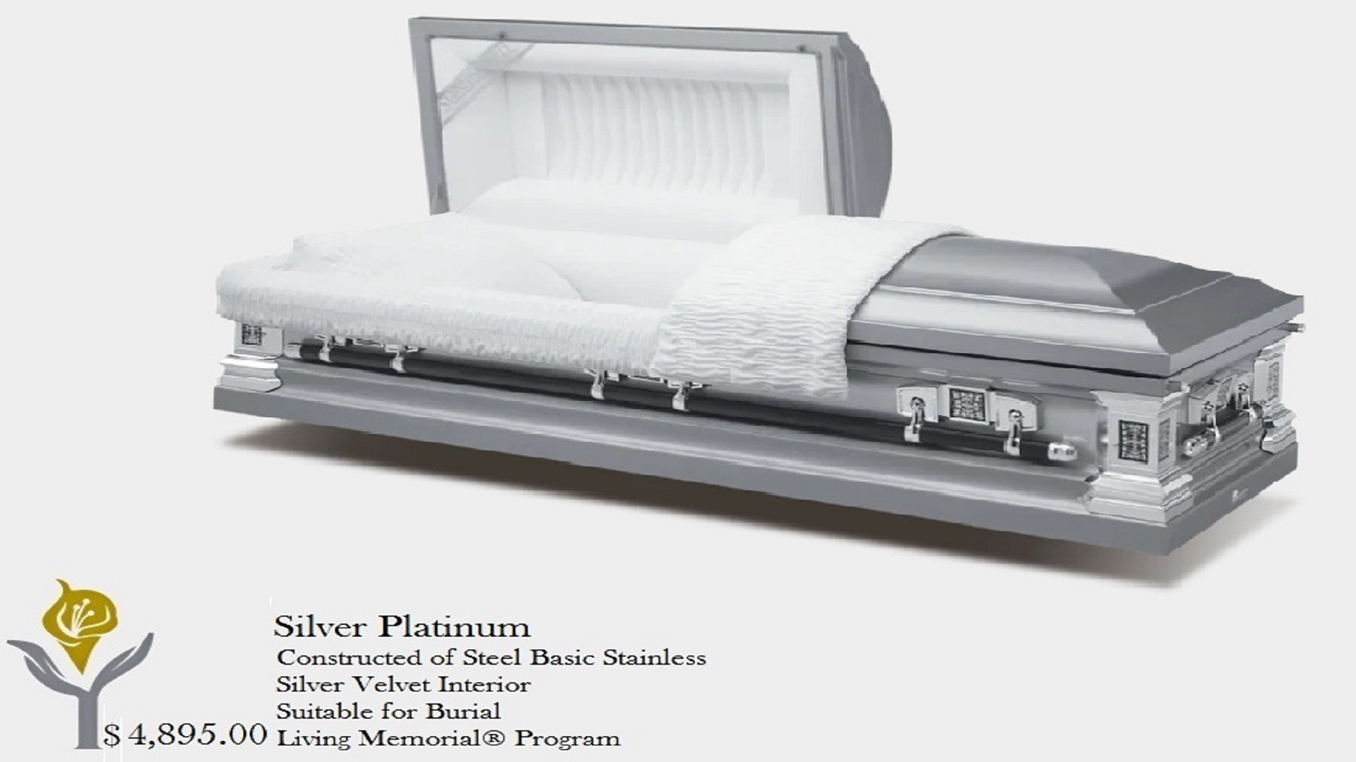 Silver Platinum - Stainless Steel with Velvet Interior